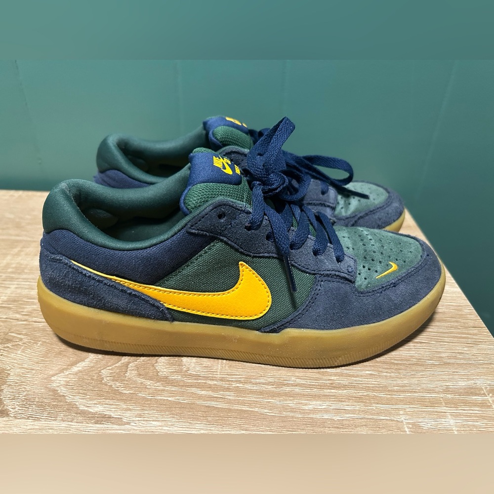 Nike SB Force 58